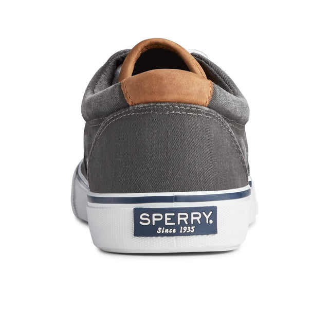 Sperry Striper II CVO Sneaker - Men